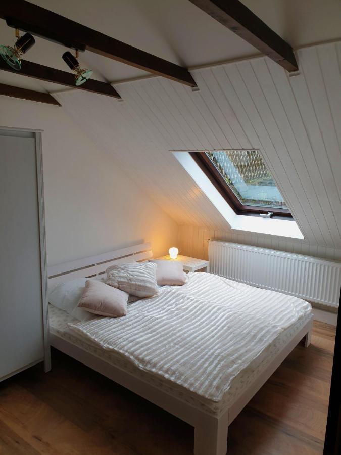 Saechsische-Schweiz-Ferienhaus-Wohnung-1-Mit-Elbblick-Sauna-Und-Kamin Konigstein an der Elbe Luaran gambar